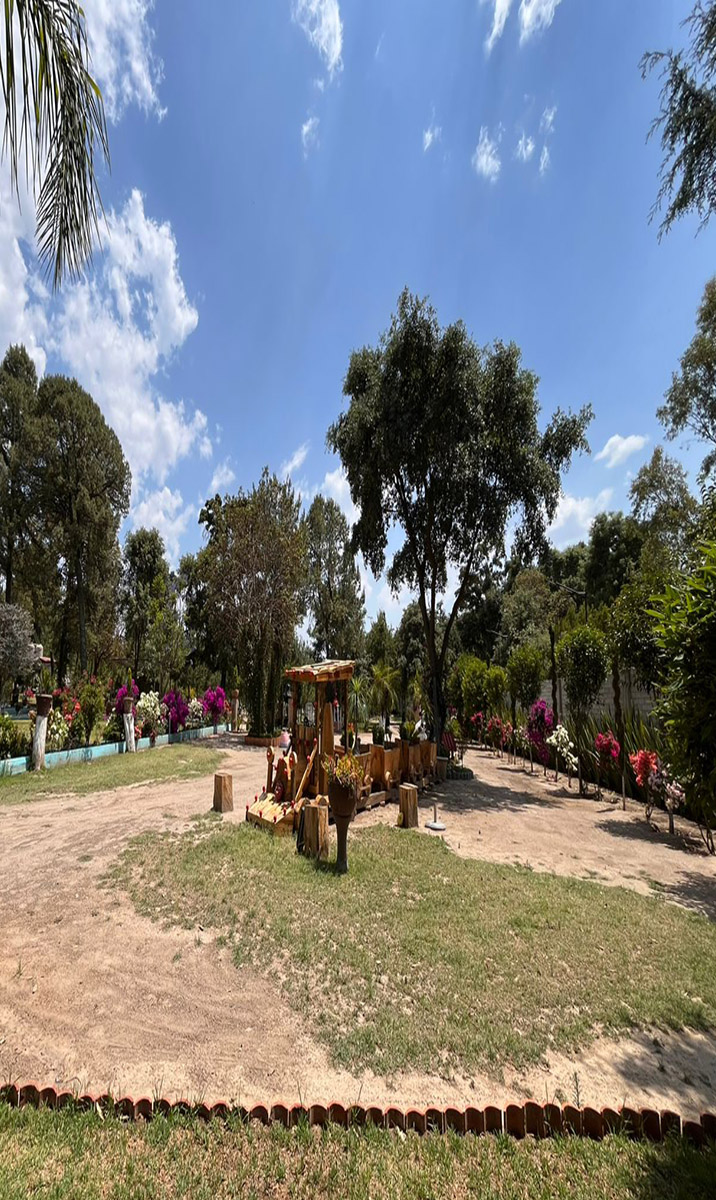 Contenido